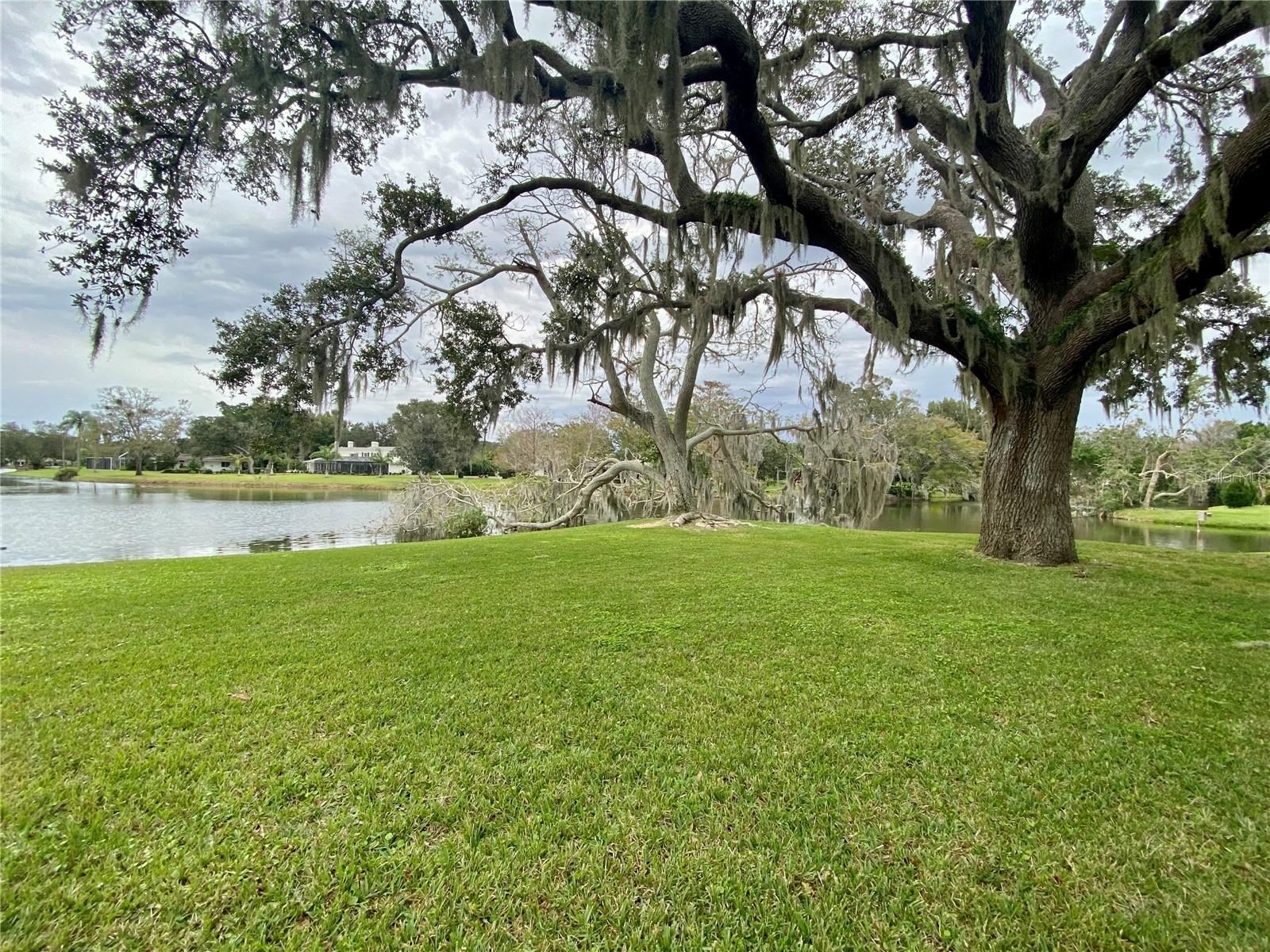 3535 W FOREST LAKE DR, SARASOTA, FL, 34232