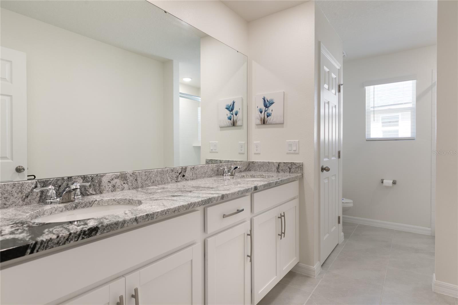 2016 FLEMING MIST PL, KISSIMMEE, FL, 34747