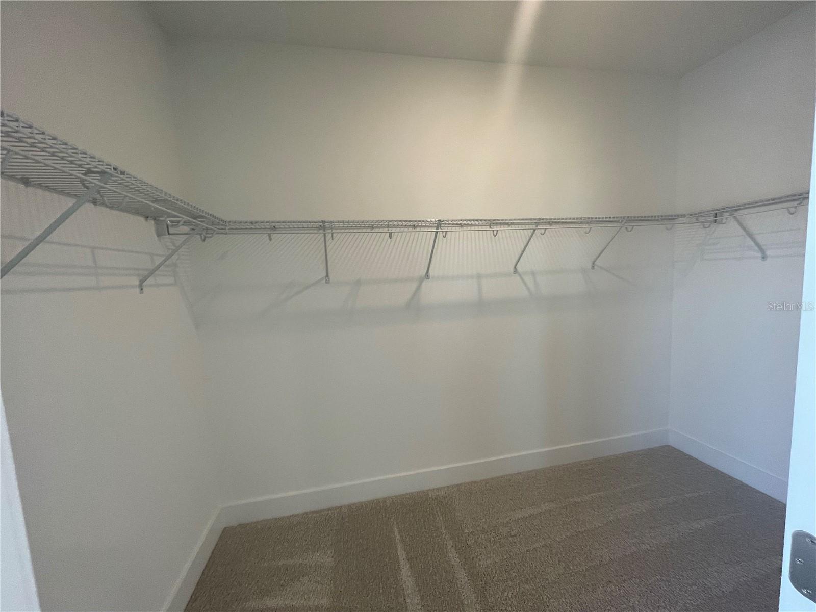 14046 SCARLET ASTER ALY, WINTER GARDEN, FL, 34787