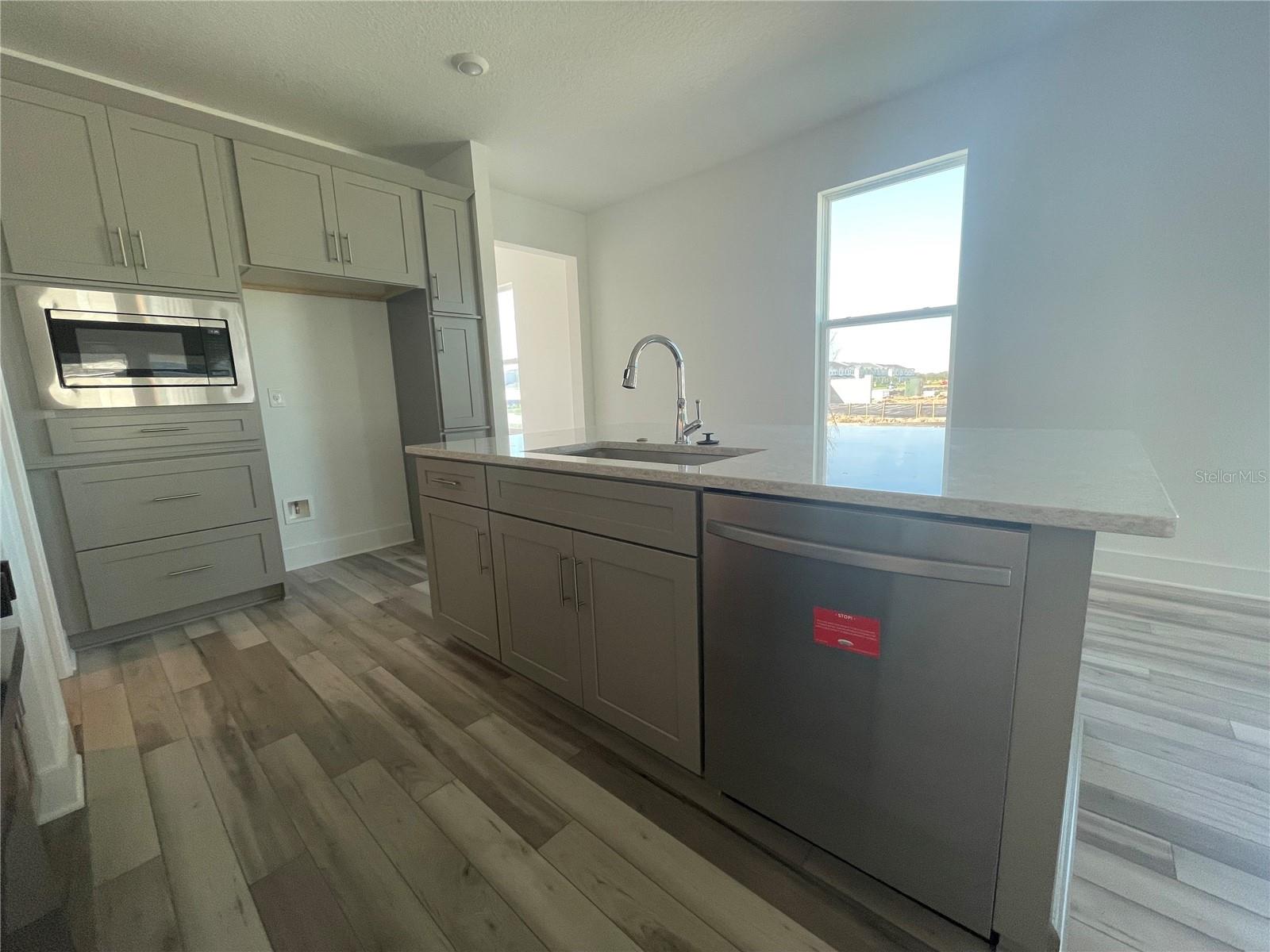 14046 SCARLET ASTER ALY, WINTER GARDEN, FL, 34787
