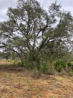 49599 and 49601 BERMONT RD, PUNTA GORDA, FL, 33982