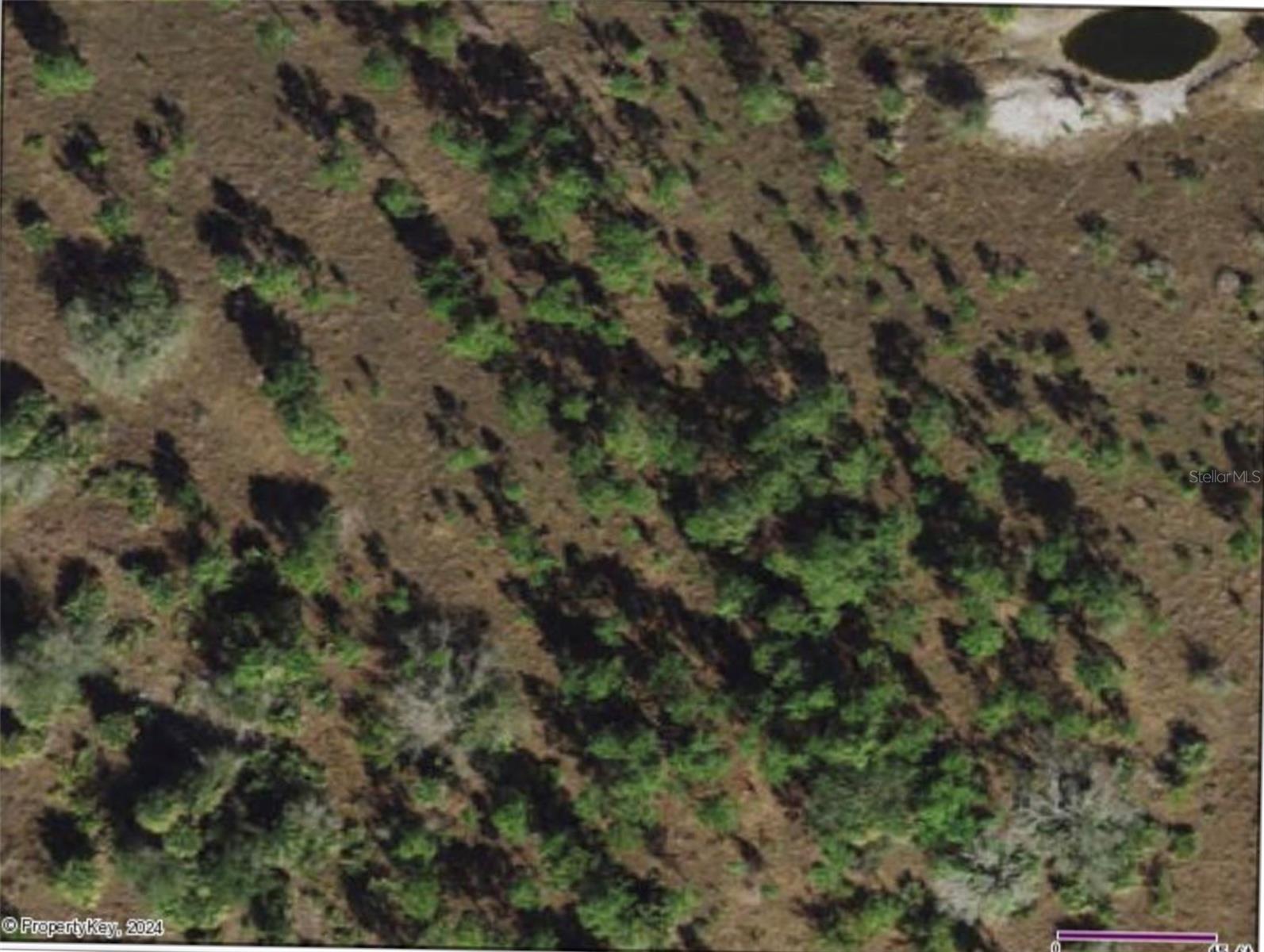 49599 and 49601 BERMONT RD, PUNTA GORDA, FL, 33982