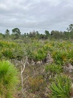 49599 and 49601 BERMONT RD, PUNTA GORDA, FL, 33982