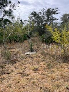 49599 and 49601 BERMONT RD, PUNTA GORDA, FL, 33982