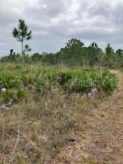 49599 and 49601 BERMONT RD, PUNTA GORDA, FL, 33982