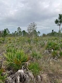 49599 and 49601 BERMONT RD, PUNTA GORDA, FL, 33982
