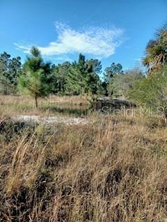 49599 and 49601 BERMONT RD, PUNTA GORDA, FL, 33982