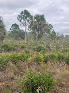 49599 and 49601 BERMONT RD, PUNTA GORDA, FL, 33982