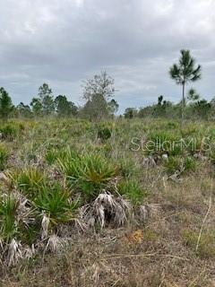 49599 and 49601 BERMONT RD, PUNTA GORDA, FL, 33982