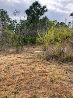 49599 and 49601 BERMONT RD, PUNTA GORDA, FL, 33982