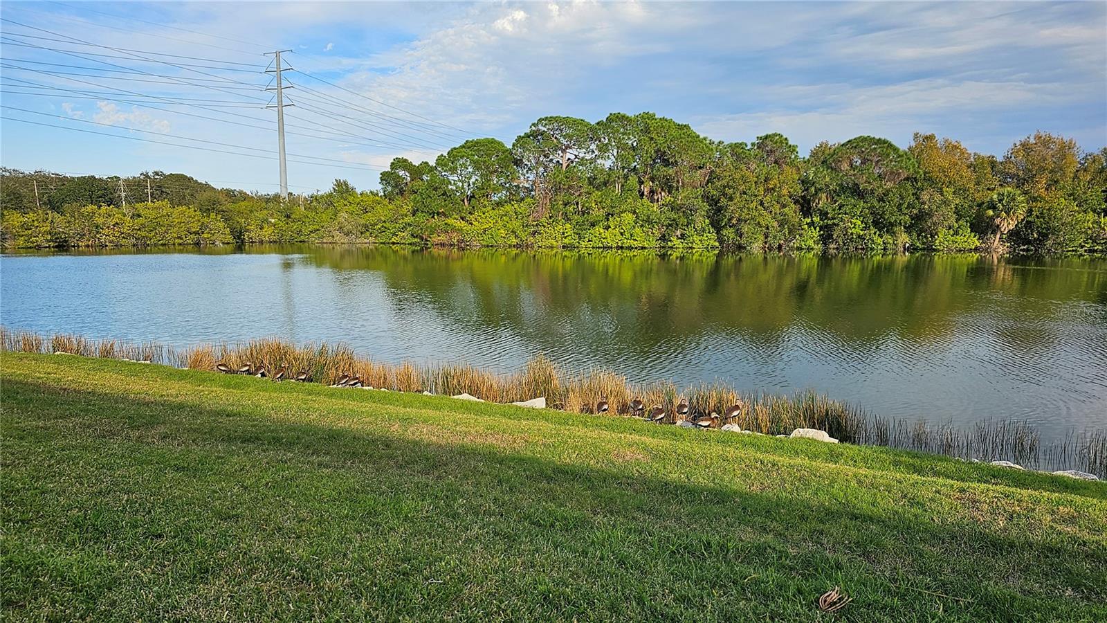 3462 MAINLANDS BLVD S #6, PINELLAS PARK, FL, 33782