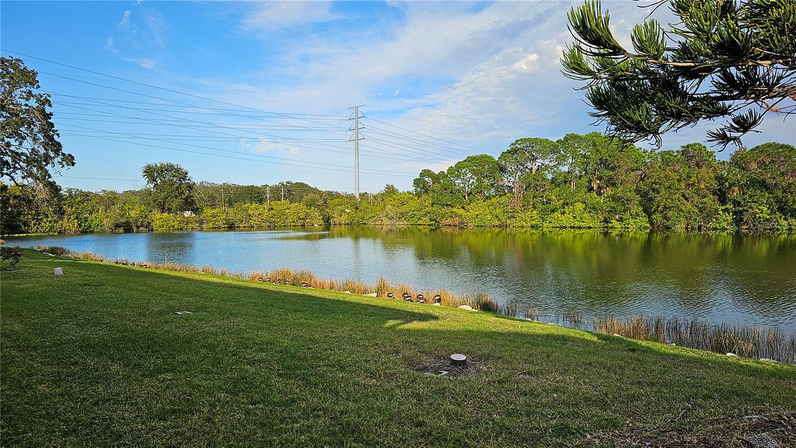 3462 MAINLANDS BLVD S #6, PINELLAS PARK, FL, 33782