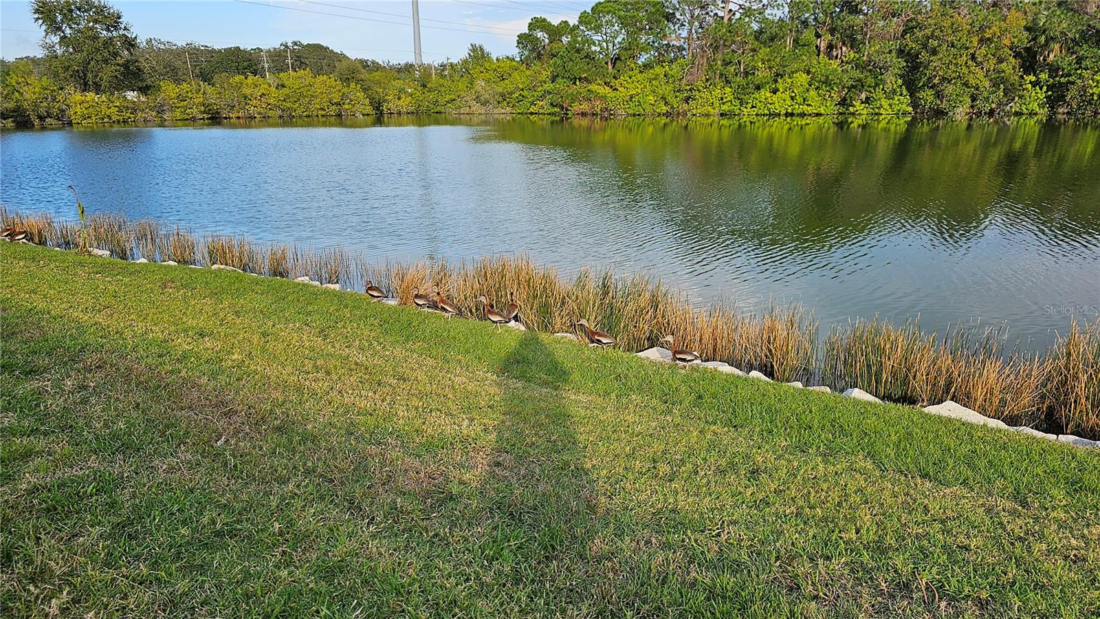3462 MAINLANDS BLVD S #6, PINELLAS PARK, FL, 33782