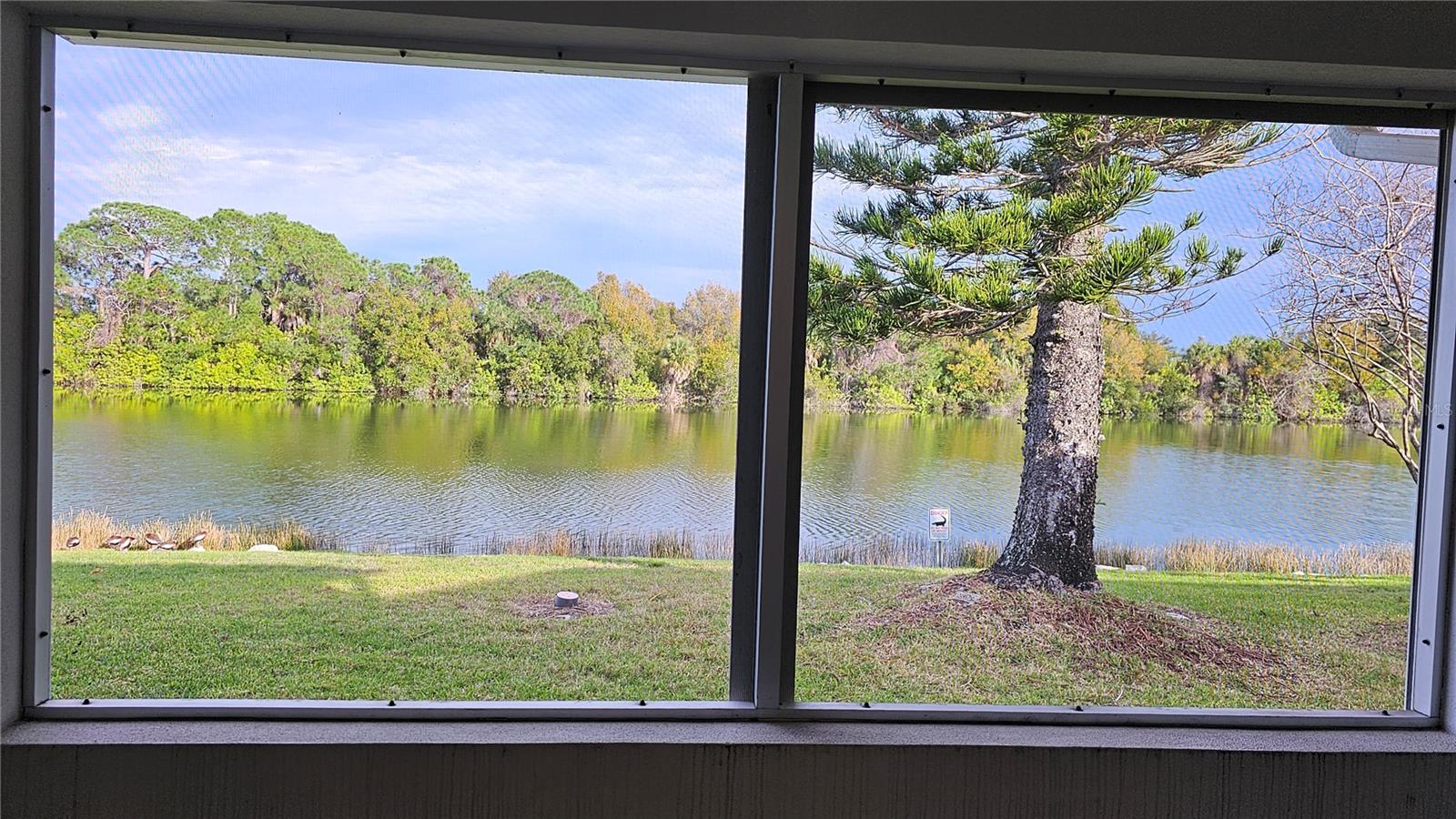 3462 MAINLANDS BLVD S #6, PINELLAS PARK, FL, 33782