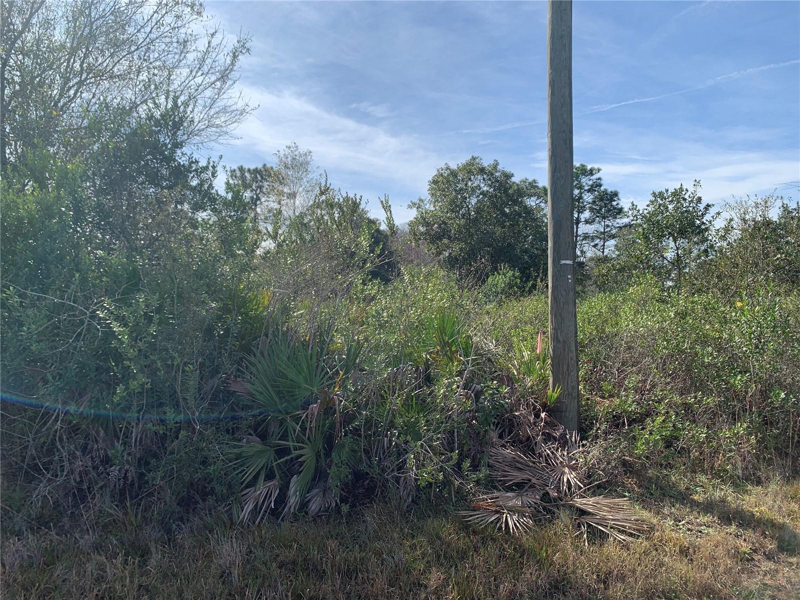 REYNOLDS PKWY, ORLANDO, FL, 32833