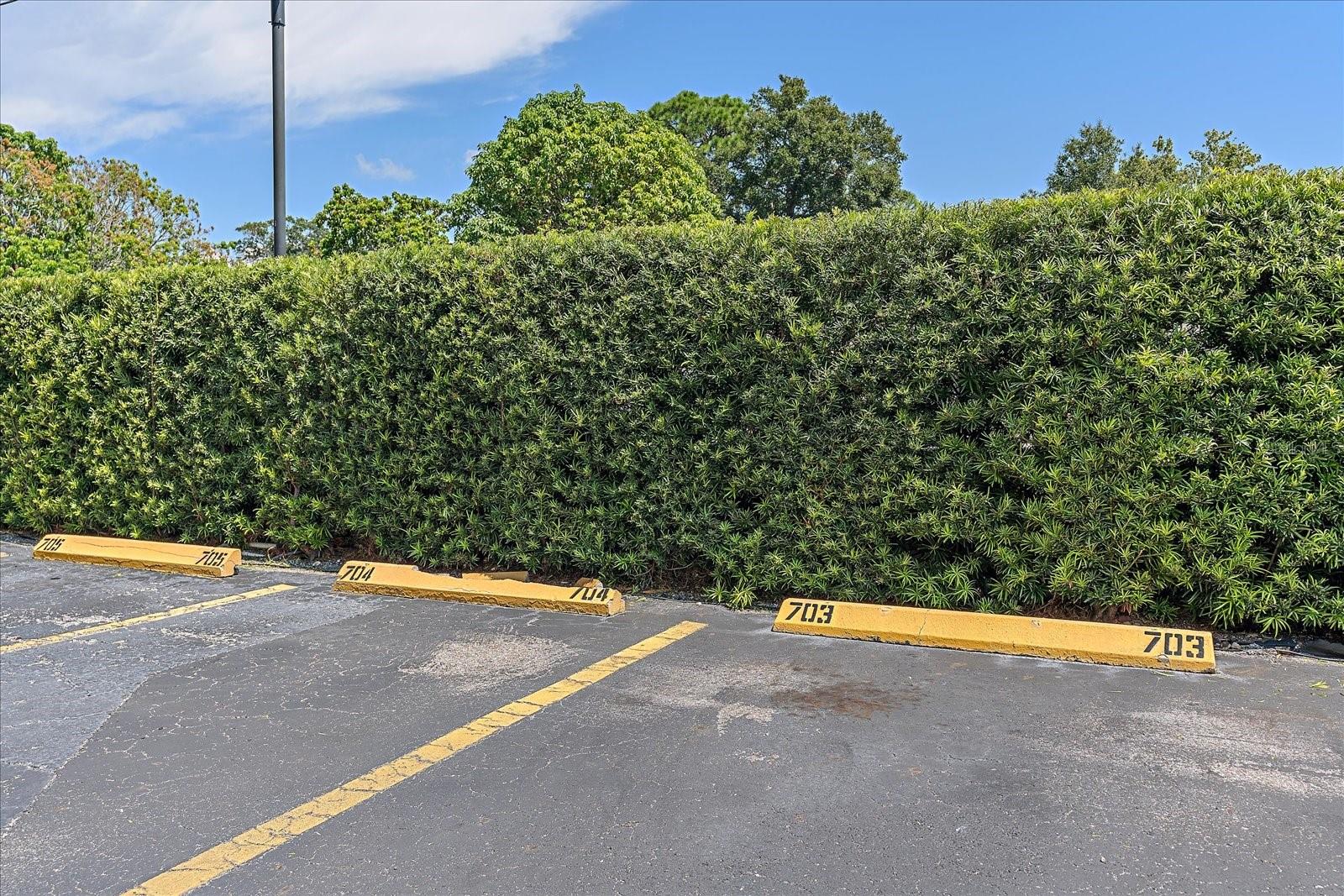 2901 26TH ST W #703, BRADENTON, FL, 34205