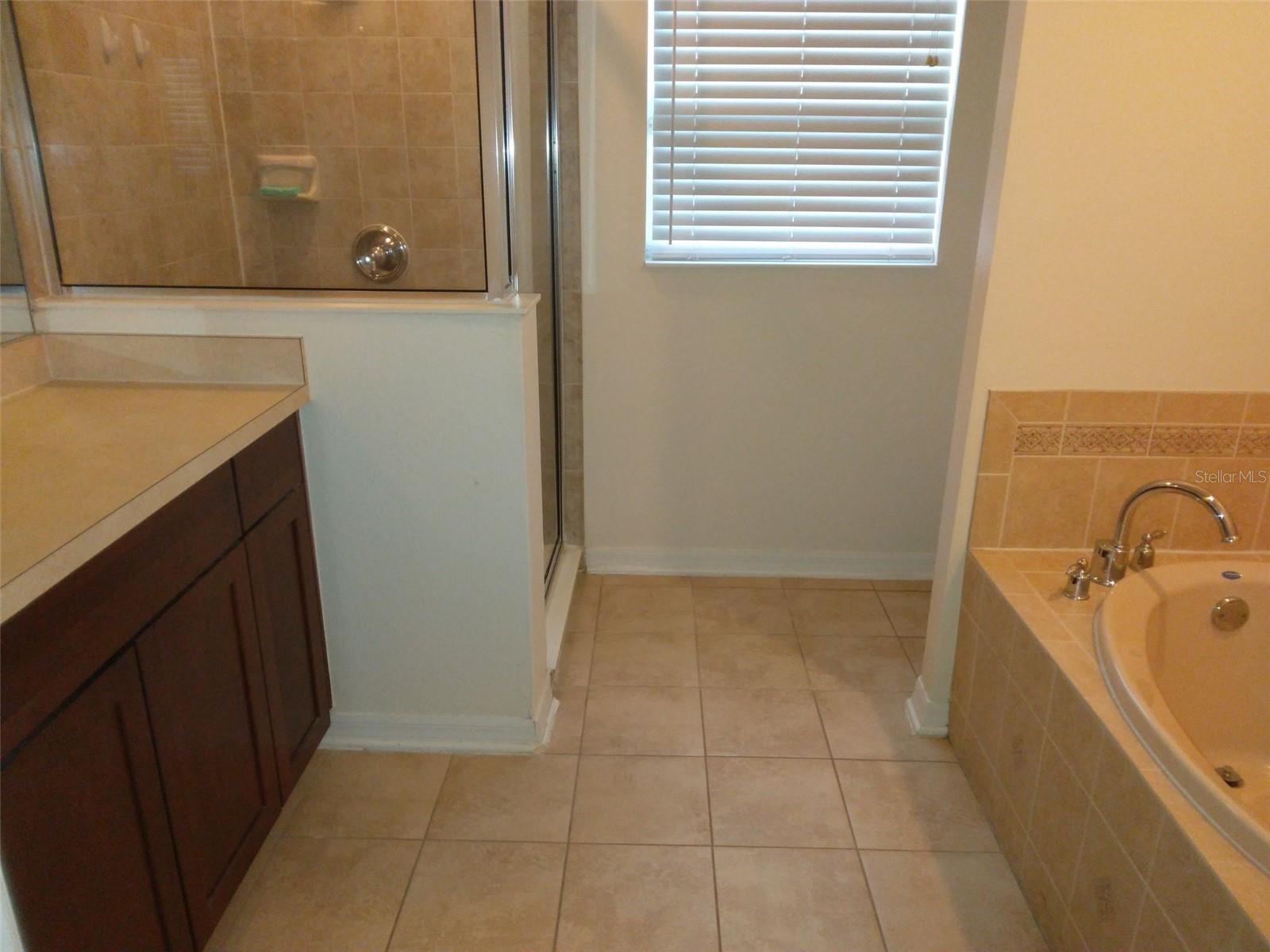 10319 AVELAR RIDGE DR, RIVERVIEW, FL, 33578