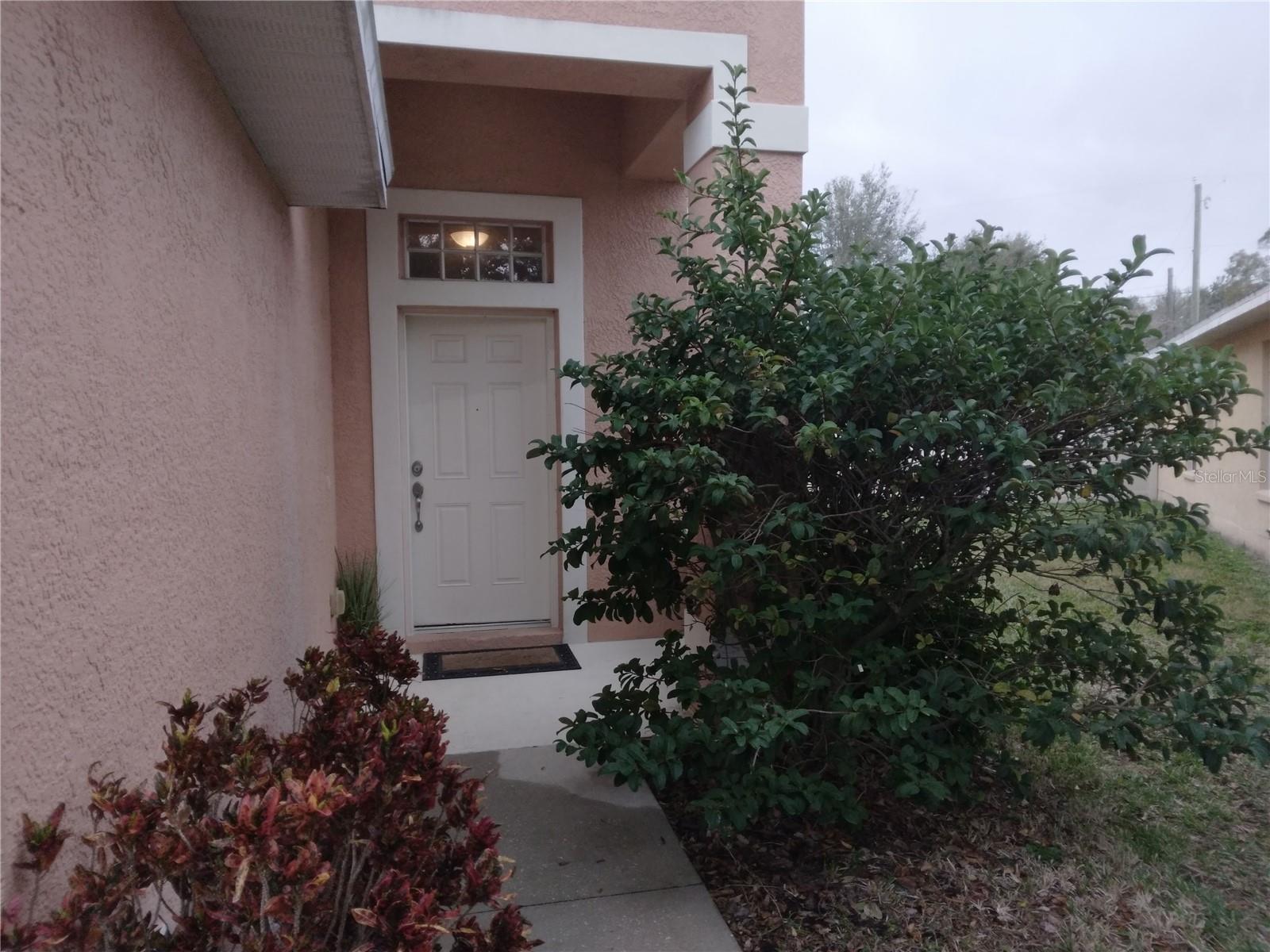10319 AVELAR RIDGE DR, RIVERVIEW, FL, 33578