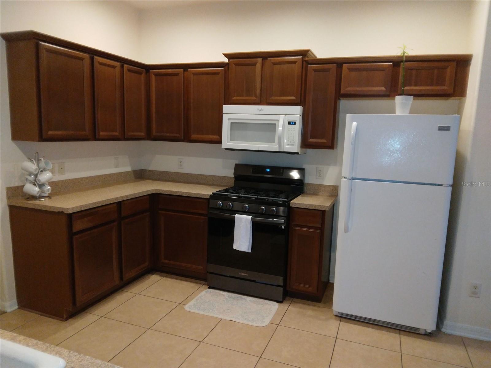 10319 AVELAR RIDGE DR, RIVERVIEW, FL, 33578