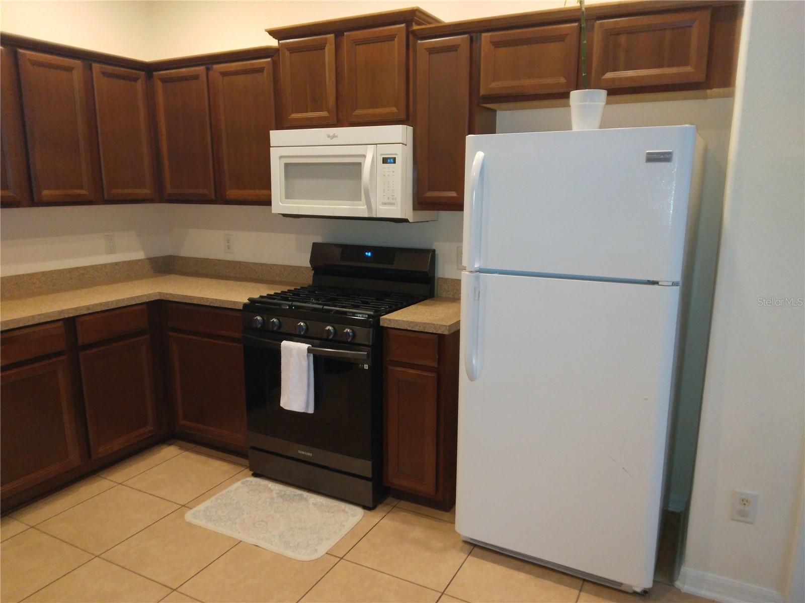 10319 AVELAR RIDGE DR, RIVERVIEW, FL, 33578