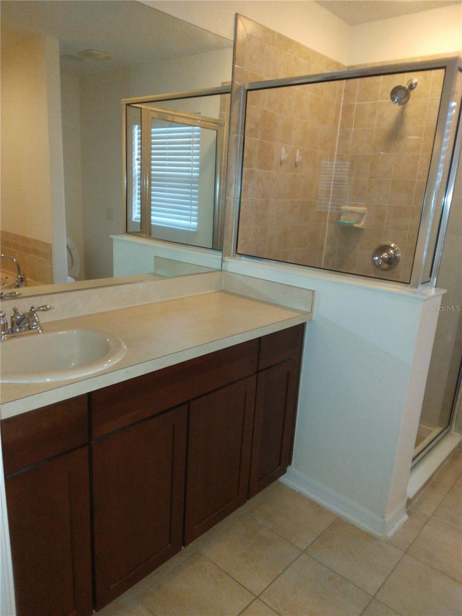 10319 AVELAR RIDGE DR, RIVERVIEW, FL, 33578