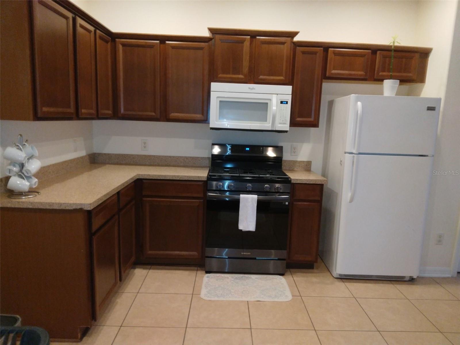 10319 AVELAR RIDGE DR, RIVERVIEW, FL, 33578