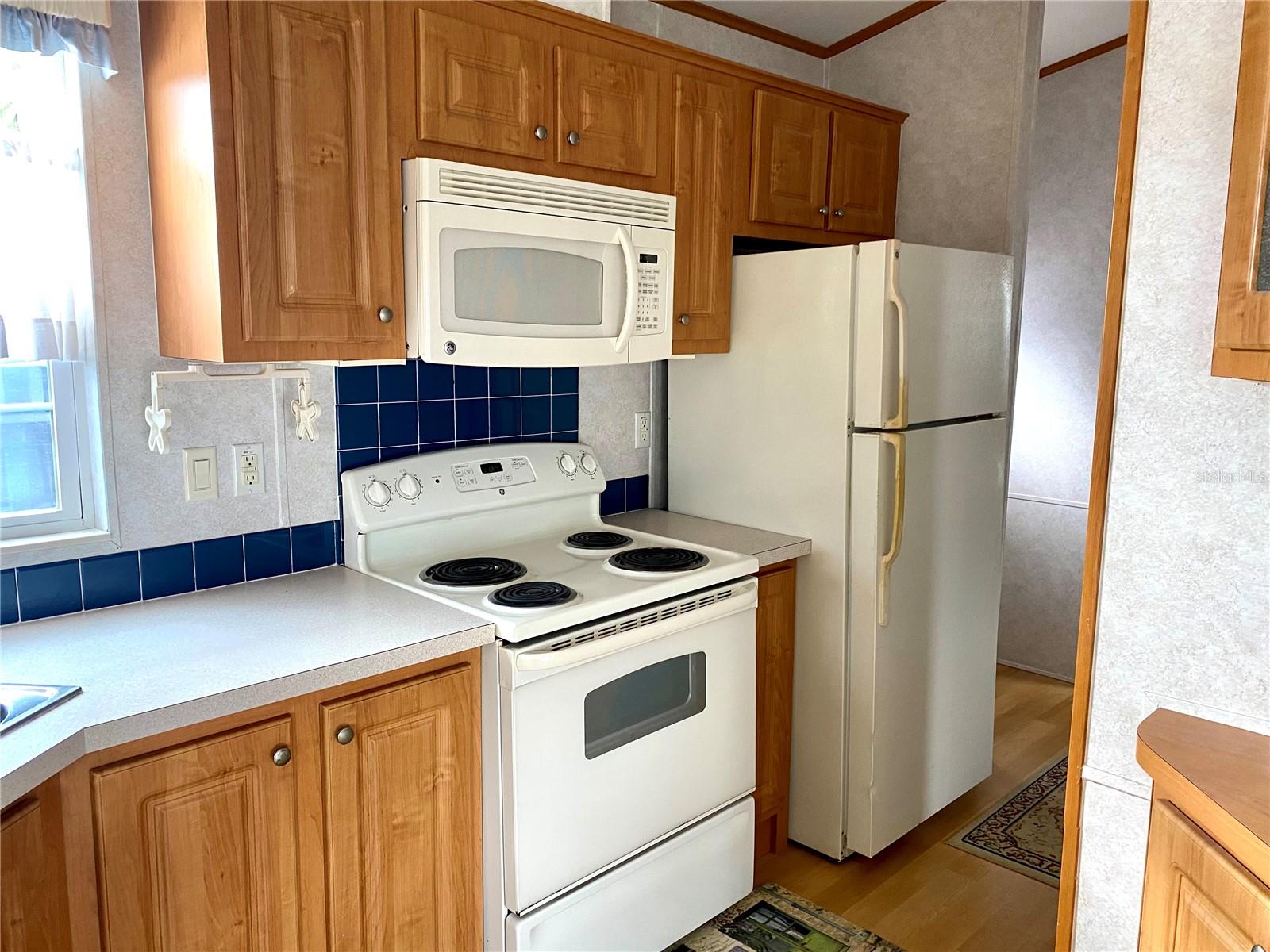 3146 NE 103RD AVE, SILVER SPRINGS, FL, 34488