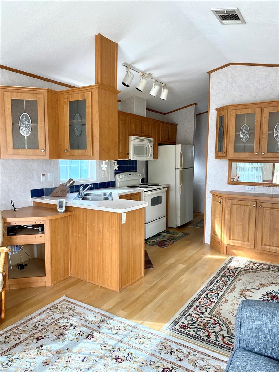 3146 NE 103RD AVE, SILVER SPRINGS, FL, 34488