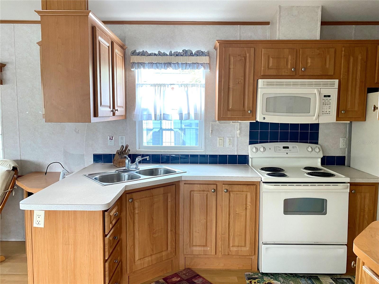 3146 NE 103RD AVE, SILVER SPRINGS, FL, 34488