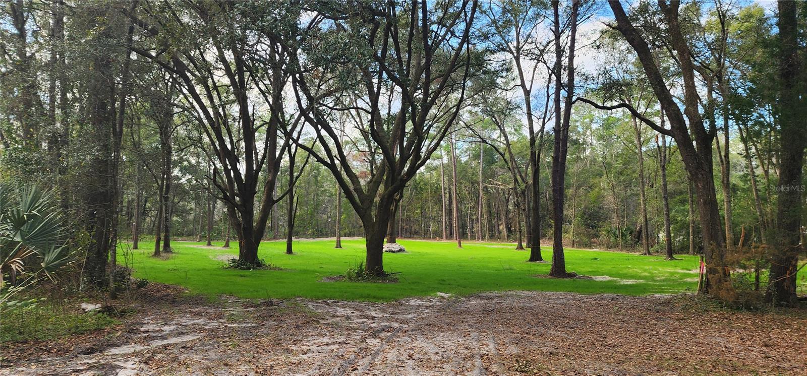 4502 SW 63RD BLVD, GAINESVILLE, FL, 32608