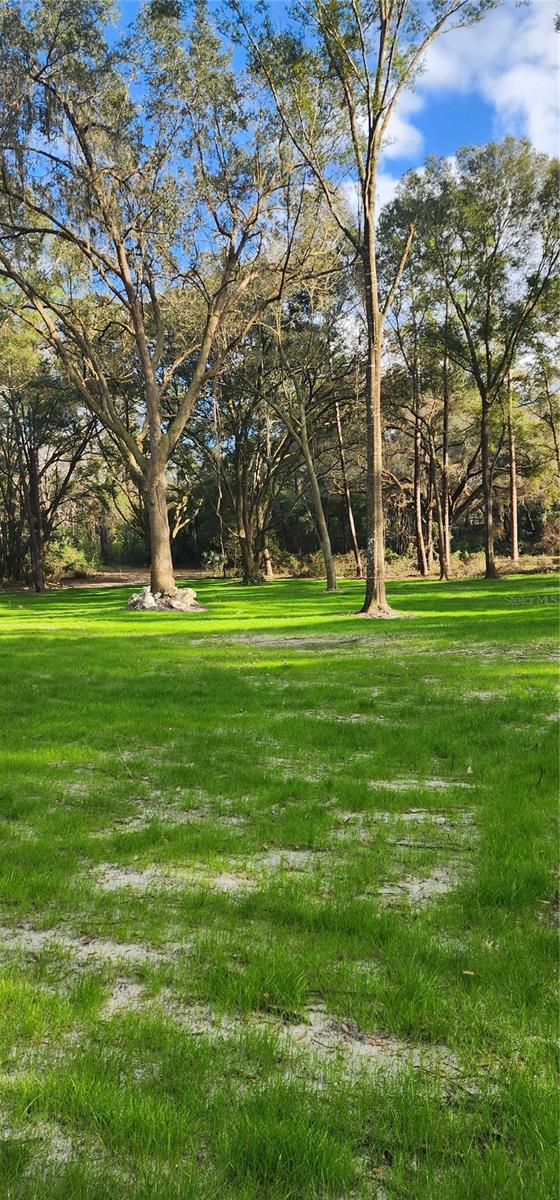 4502 SW 63RD BLVD, GAINESVILLE, FL, 32608
