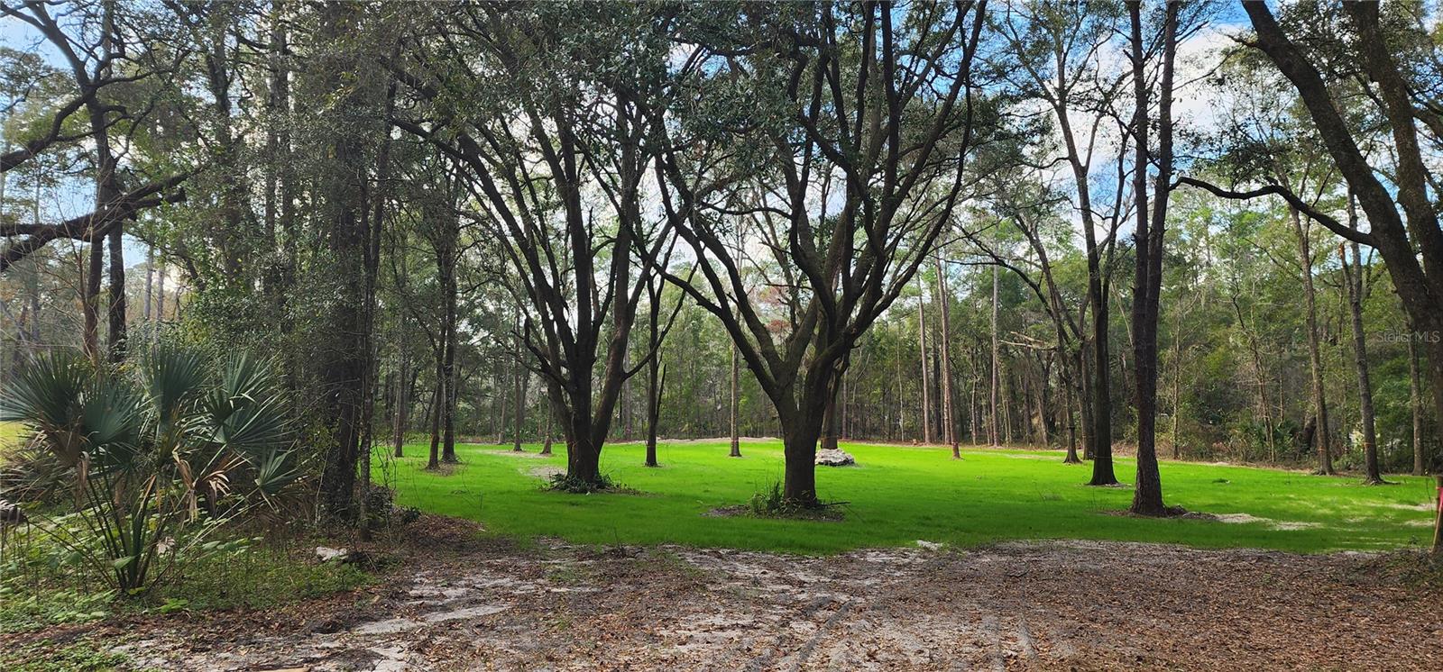4502 SW 63RD BLVD, GAINESVILLE, FL, 32608
