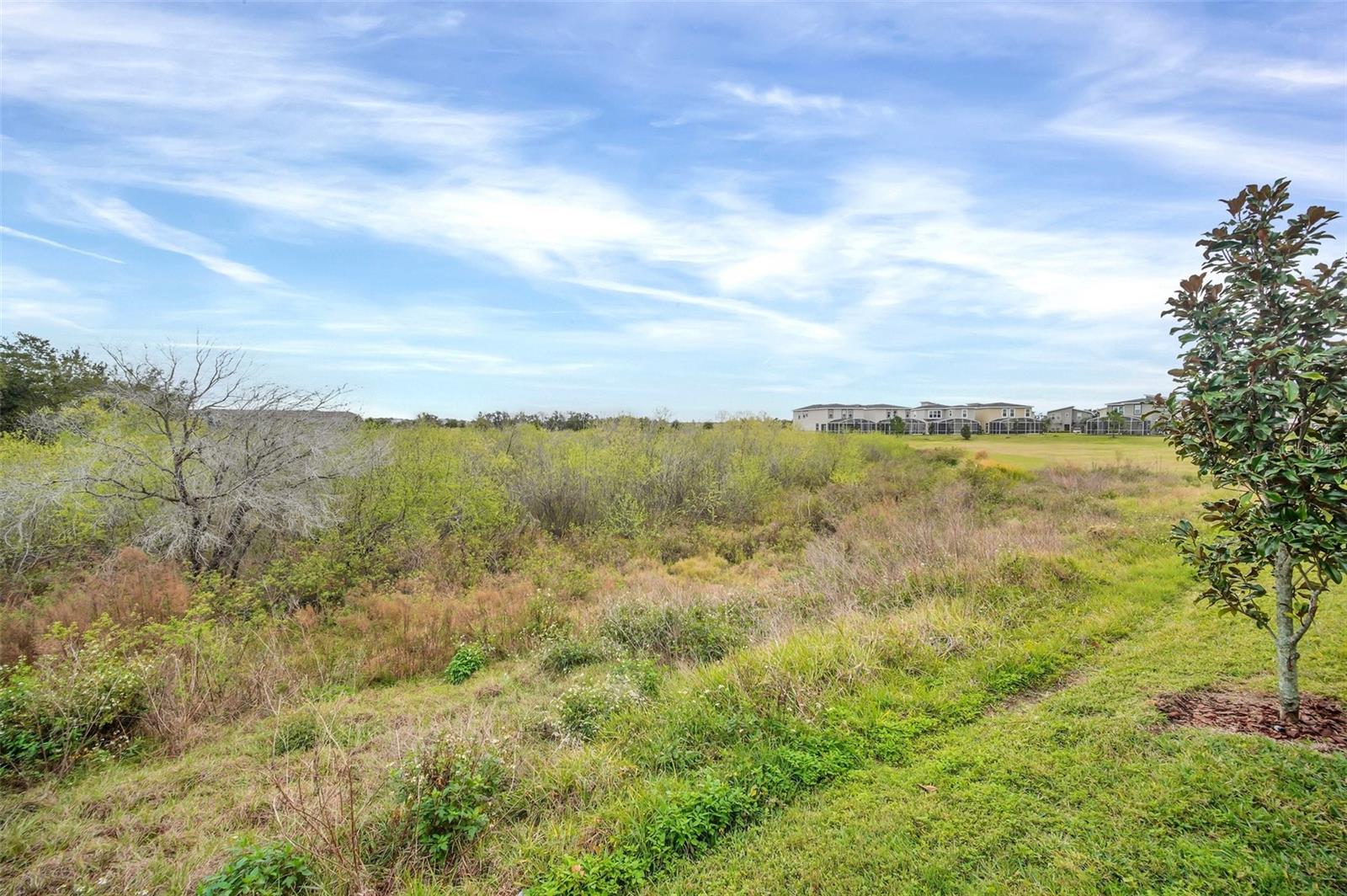 751 DROP SHOT DR, DAVENPORT, FL, 33896