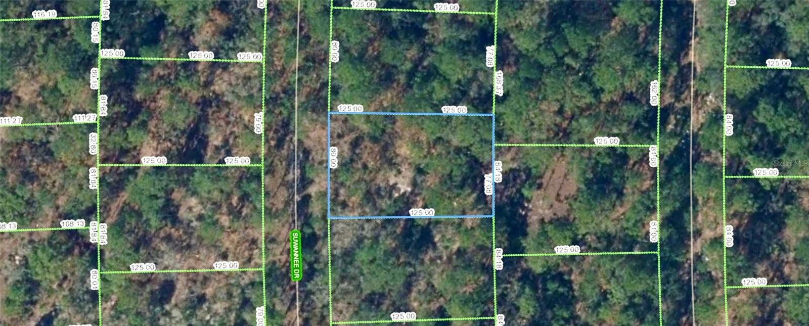 211 SUWANNEE DR, LAKE PLACID, FL, 33852