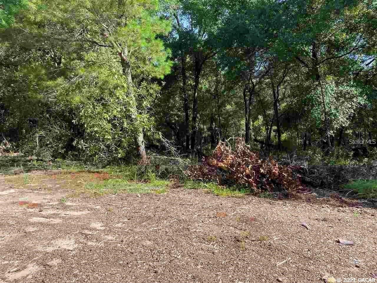 113 TIFTON ST, INTERLACHEN, FL, 32148