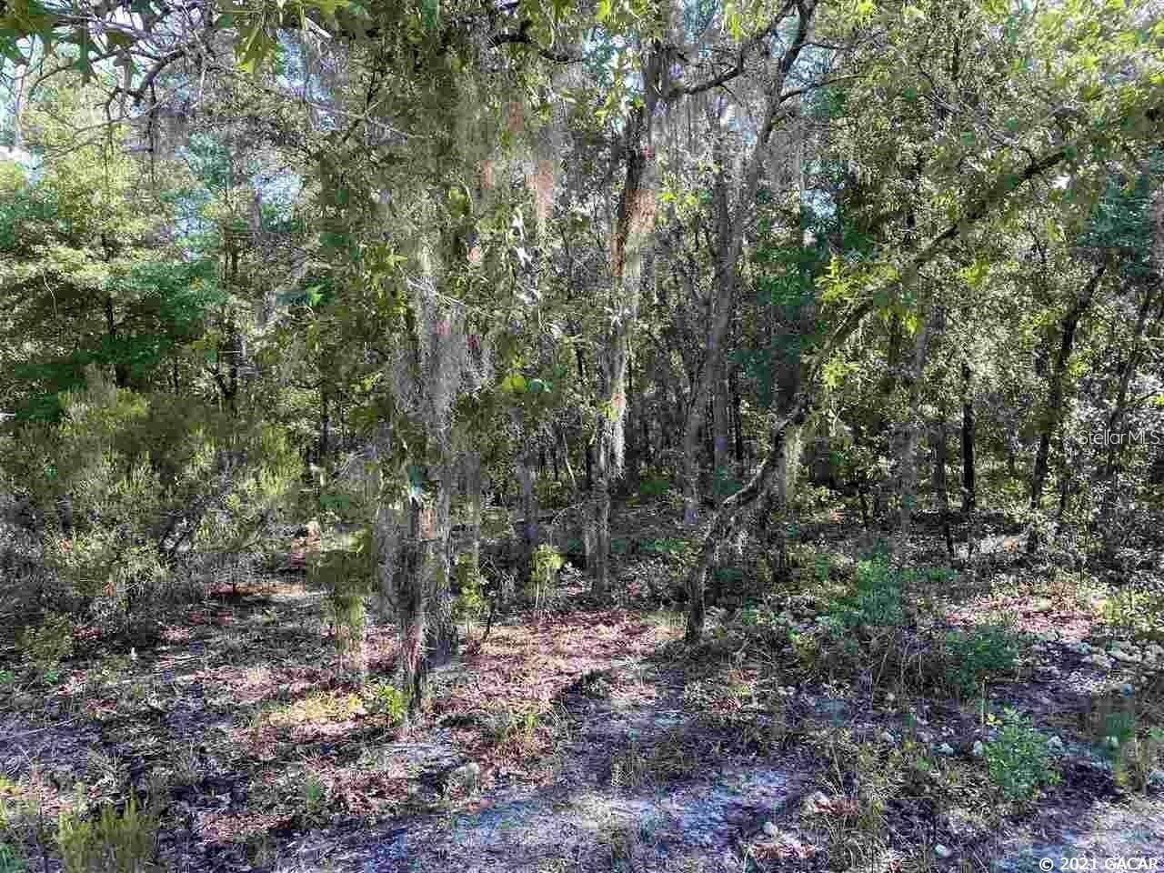 113 TIFTON ST, INTERLACHEN, FL, 32148