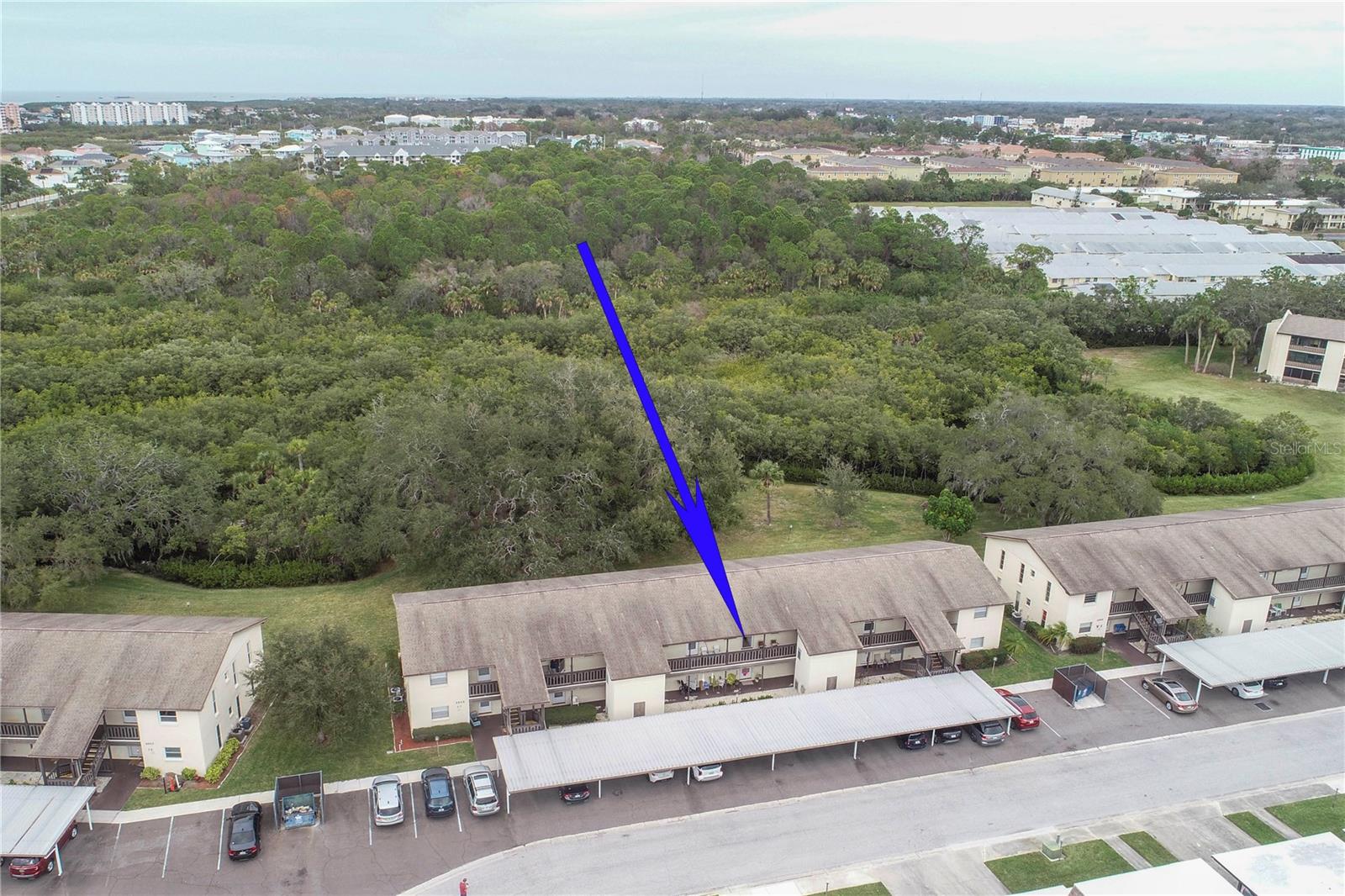 4829 ONYX LN #204, NEW PORT RICHEY, FL, 34652