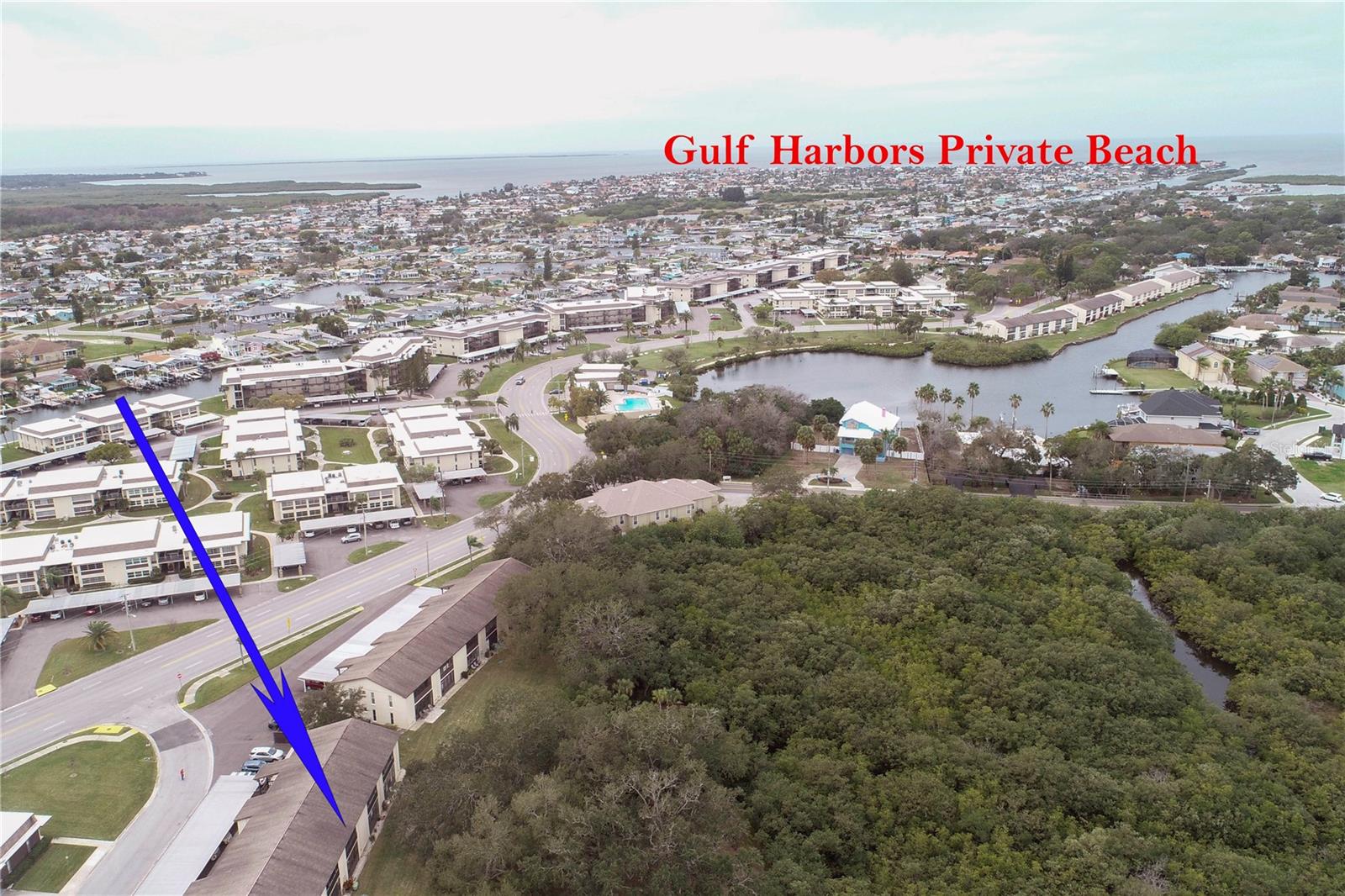 4829 ONYX LN #204, NEW PORT RICHEY, FL, 34652