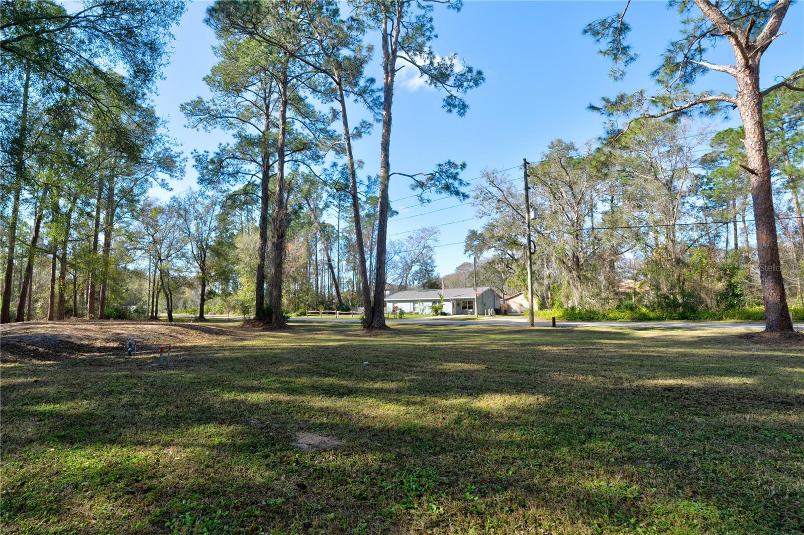 11504 LAKE DR, NEW PORT RICHEY, FL, 34654