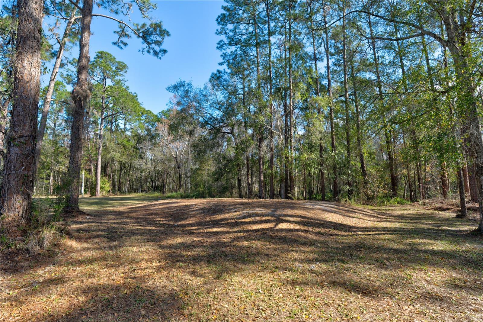 11504 LAKE DR, NEW PORT RICHEY, FL, 34654