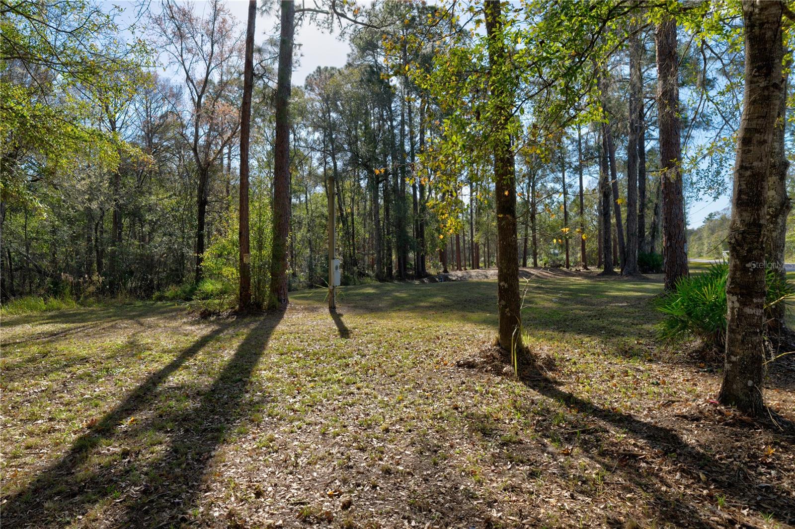 11504 LAKE DR, NEW PORT RICHEY, FL, 34654