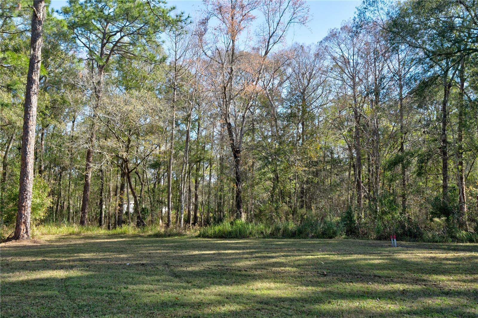 11504 LAKE DR, NEW PORT RICHEY, FL, 34654