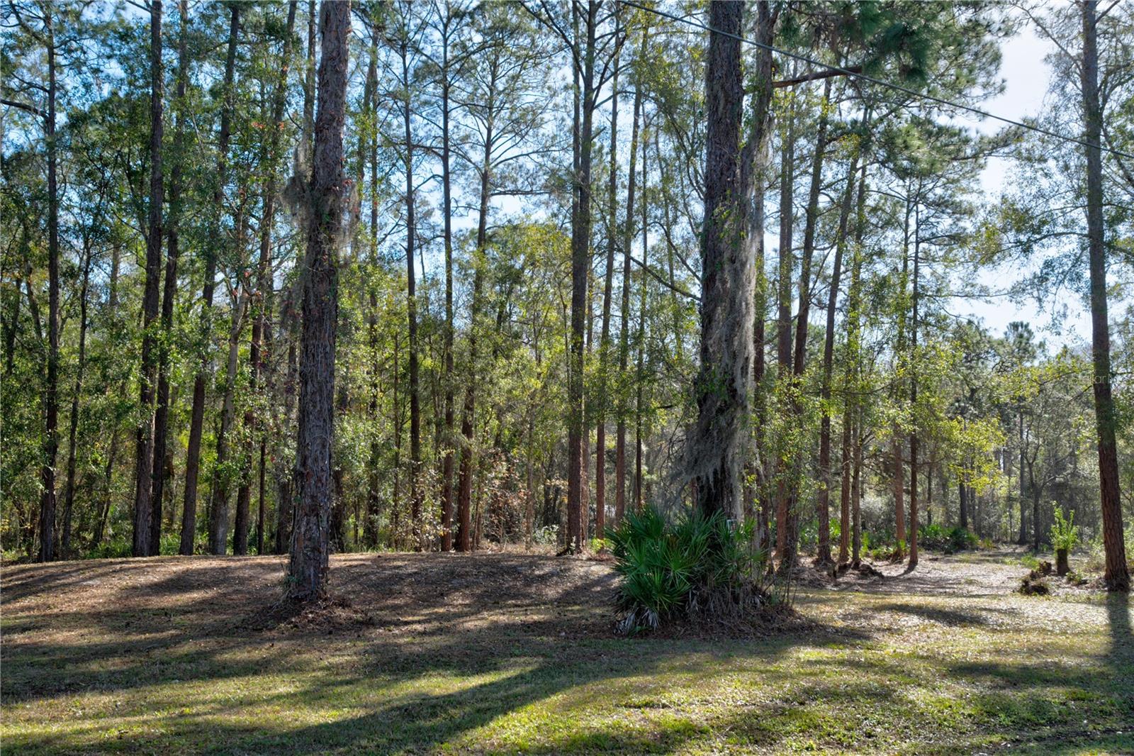 11504 LAKE DR, NEW PORT RICHEY, FL, 34654