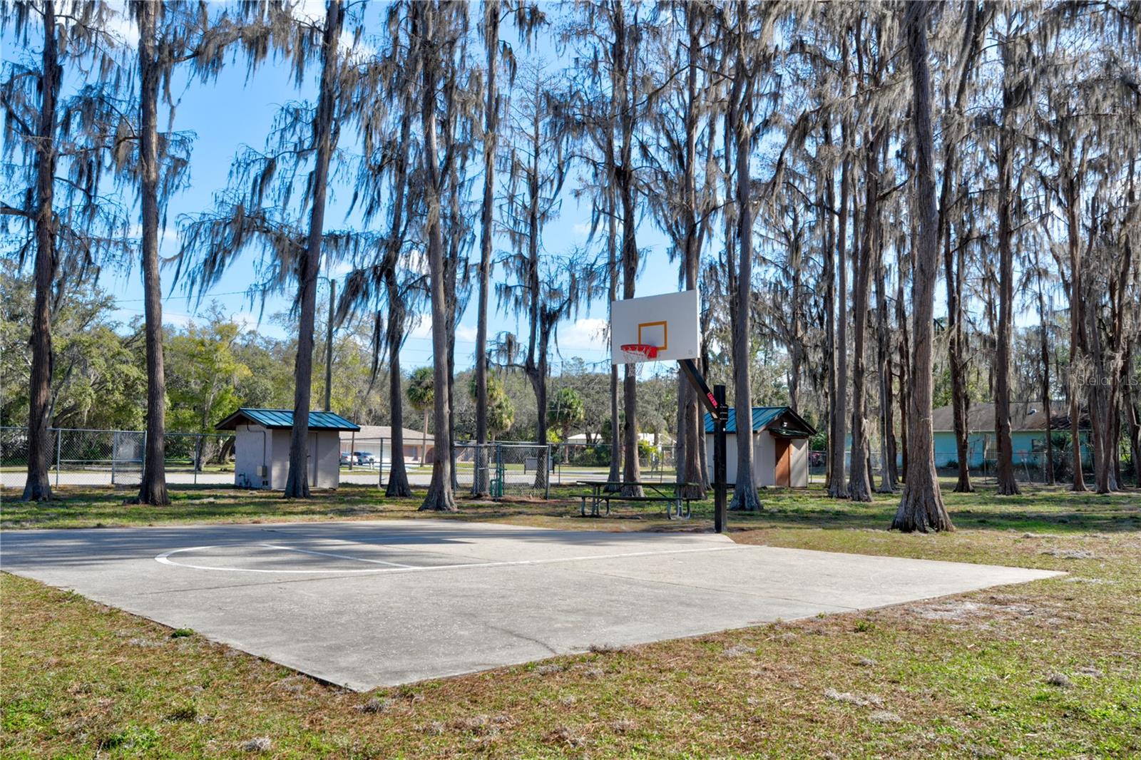 11504 LAKE DR, NEW PORT RICHEY, FL, 34654