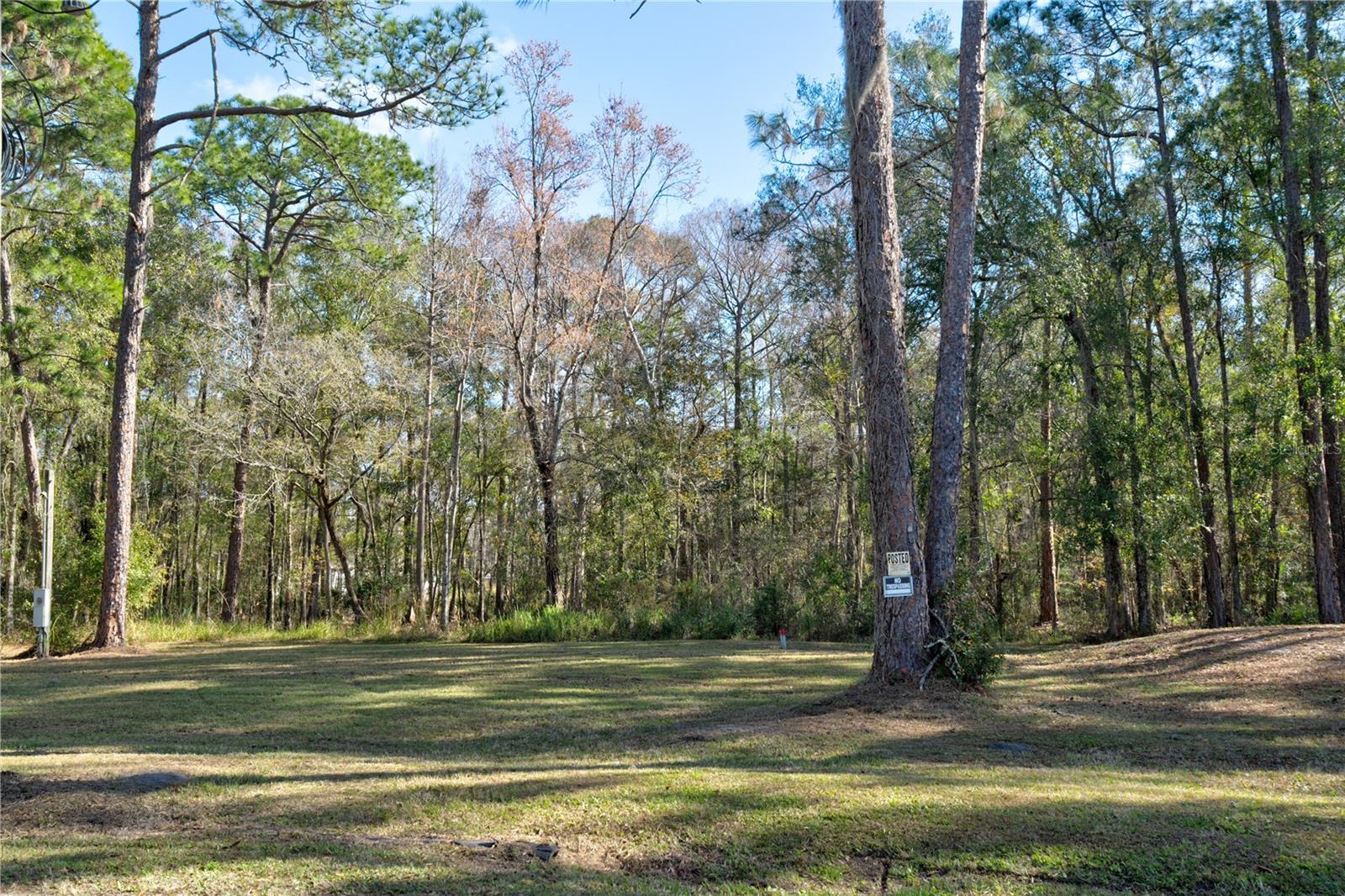 11504 LAKE DR, NEW PORT RICHEY, FL, 34654