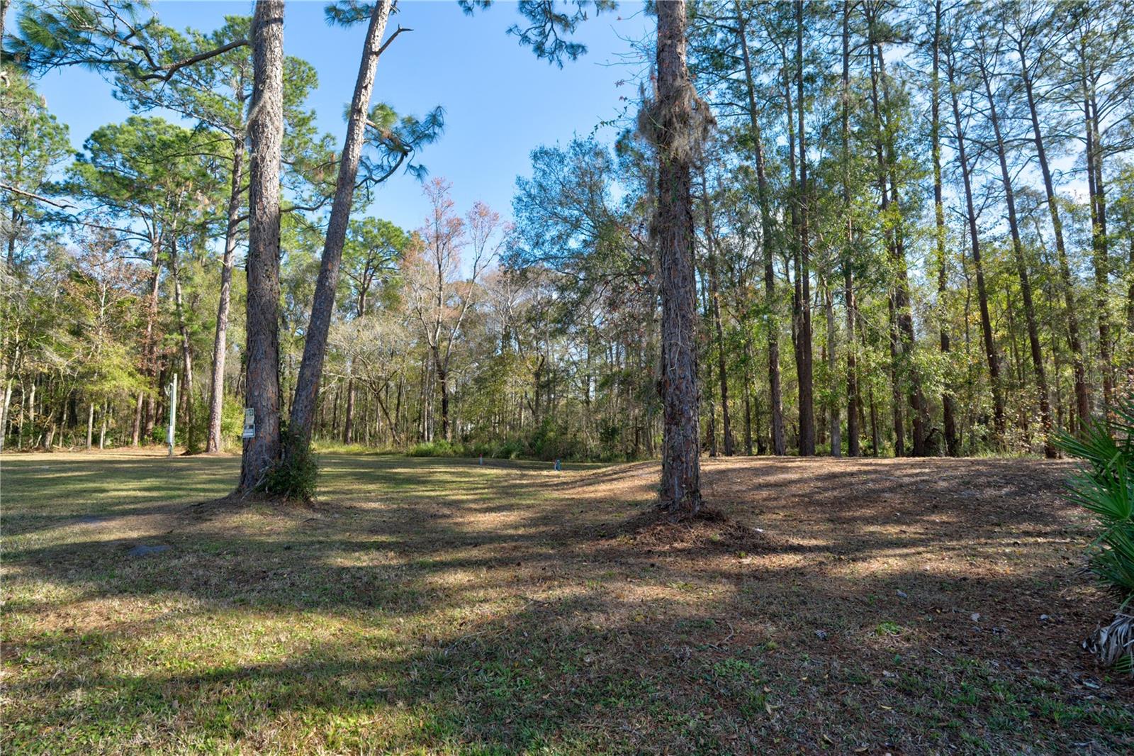 11504 LAKE DR, NEW PORT RICHEY, FL, 34654