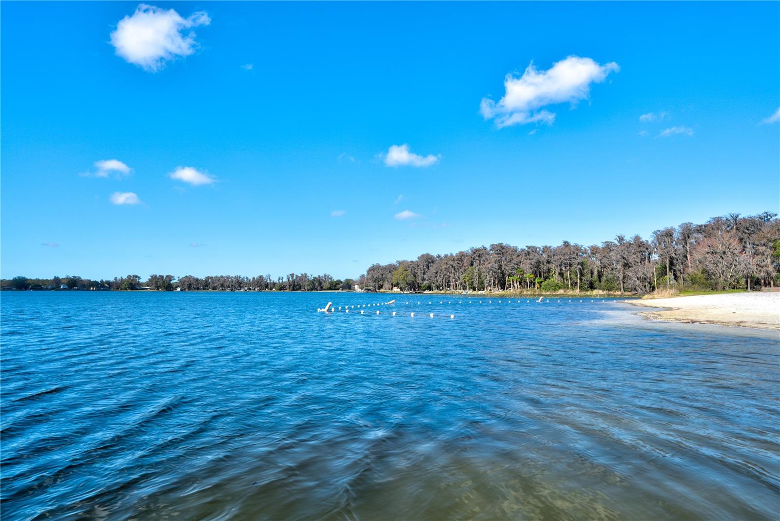 11504 LAKE DR, NEW PORT RICHEY, FL, 34654
