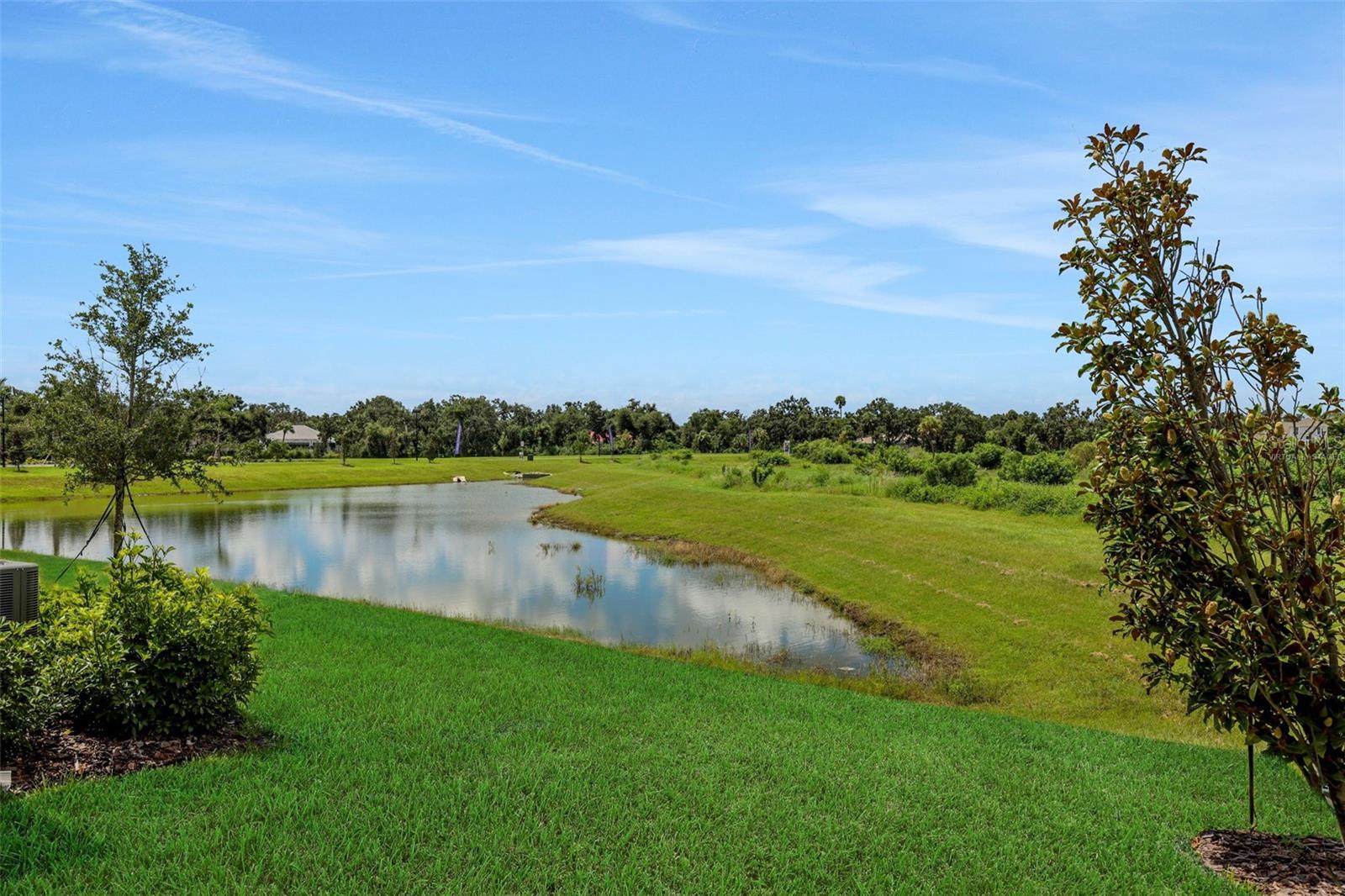 9141 GULF HAVEN DR, PARRISH, FL, 34219