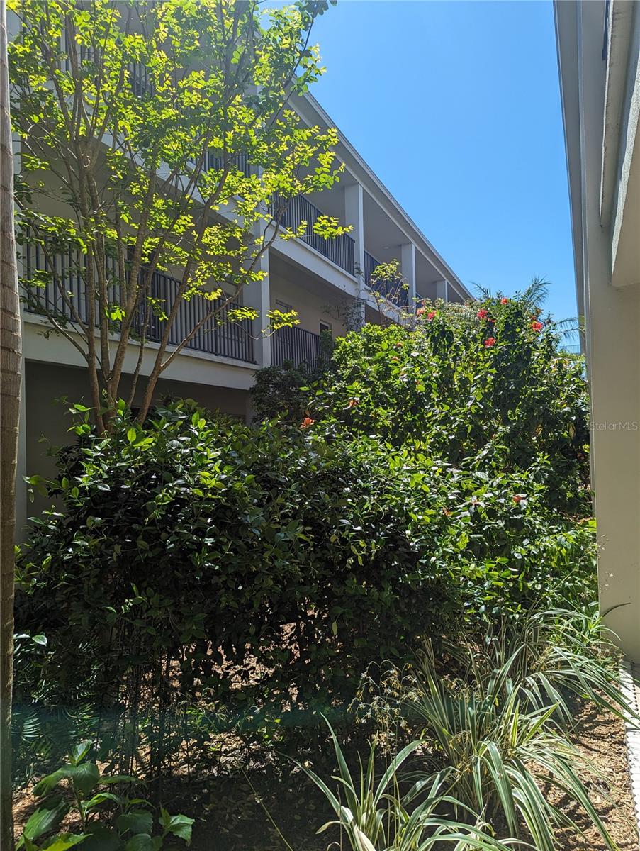 2700 BAYSHORE BLVD #5109, DUNEDIN, FL, 34698