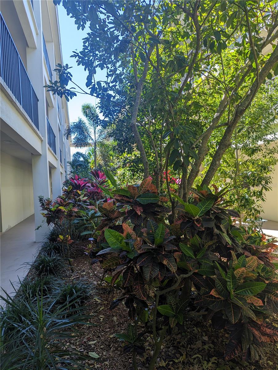 2700 BAYSHORE BLVD #5109, DUNEDIN, FL, 34698